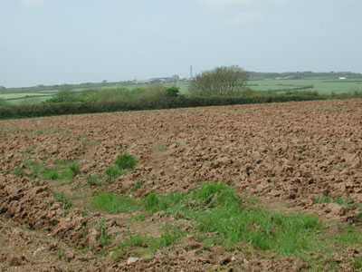 distant tower