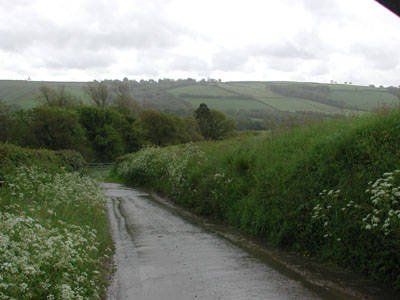 road to Quince Hill