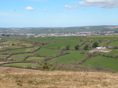 Fullabrook from Codden Hill