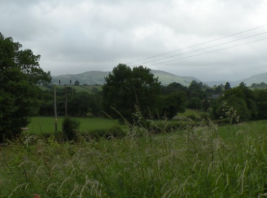 Bryn Titli power lines