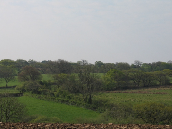 Wheelr's Cross