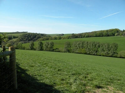 Towards Whitehall