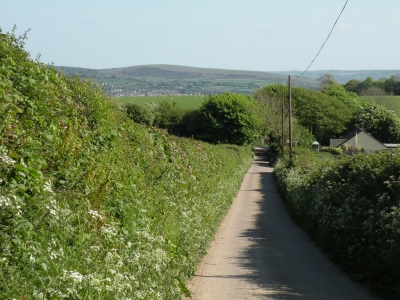 Codden Hill