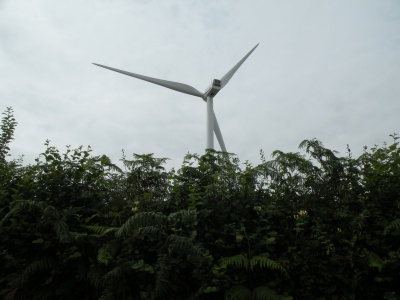 Turbine 6