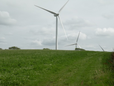 From Buttercombe Lane