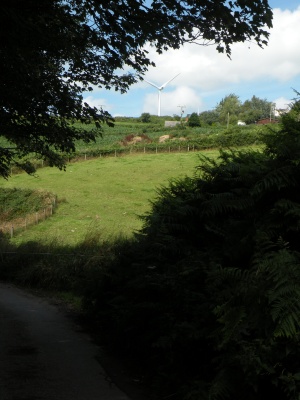 Whiddon Lane