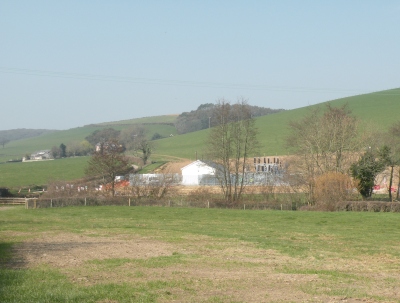 Looking across at the same meadow