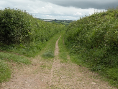 A quiet lane