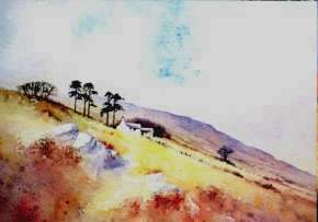 Farm above Erwood by David Bellamy