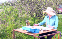 Sandy Sykes, painting