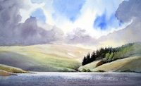 David Bellamy`s painting